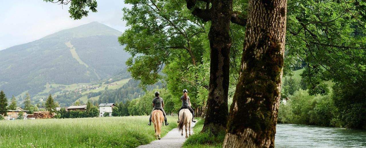 Chalet Rosemarie Villa Bad Gastein Dış mekan fotoğraf