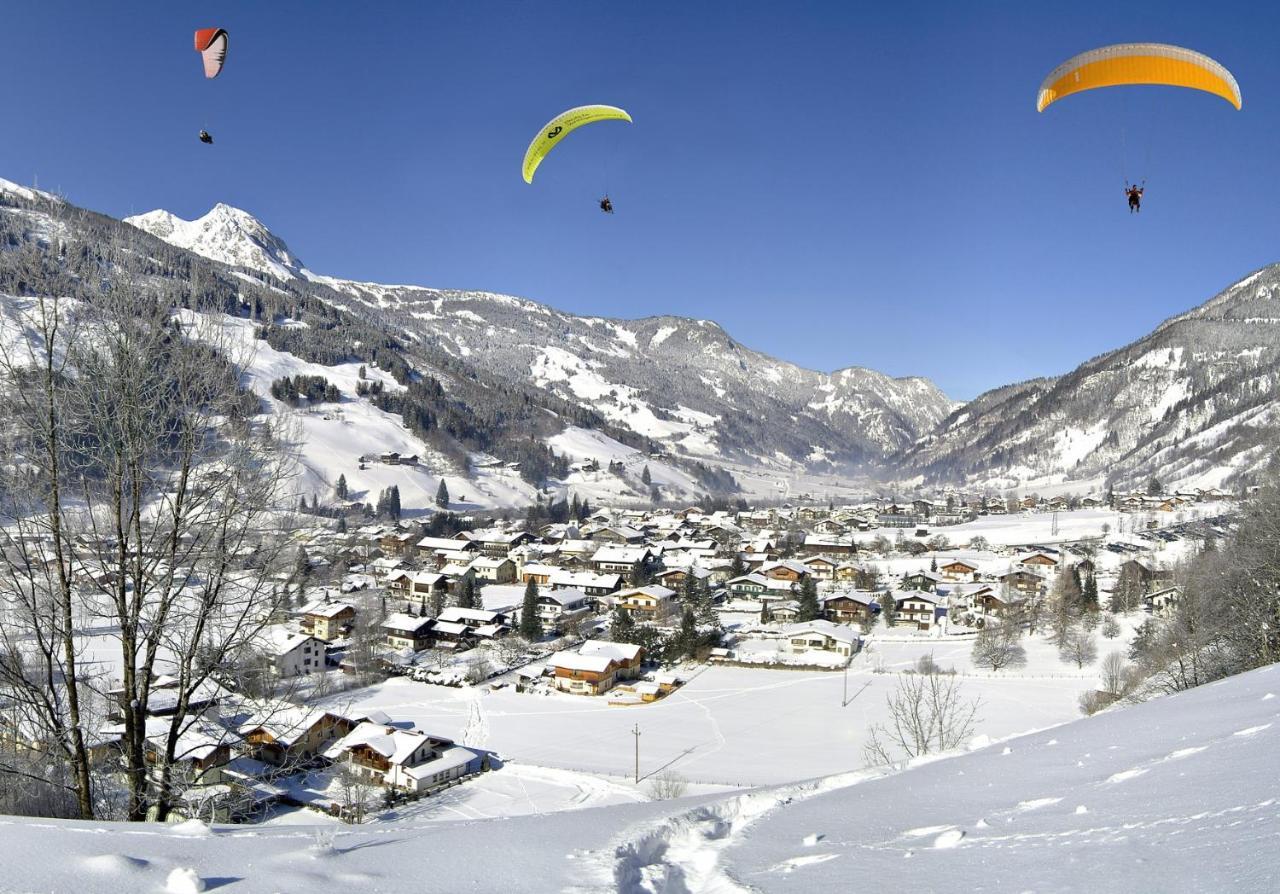 Chalet Rosemarie Villa Bad Gastein Dış mekan fotoğraf